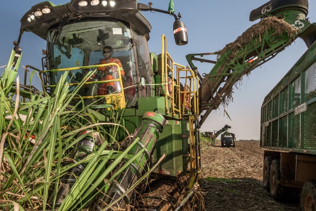 bp harvesting sugarcane with machinery for bioenergy production, highlighting renewable energy and sustainability.