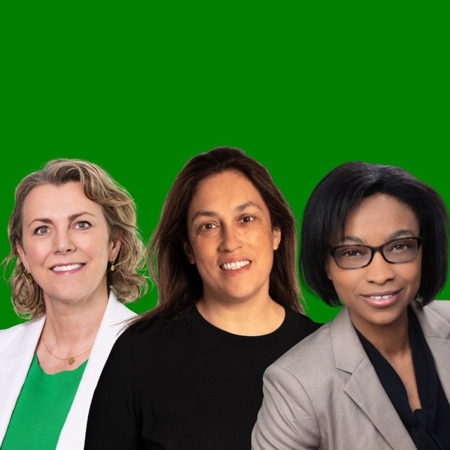Three professional women posing for group portrait on green background.